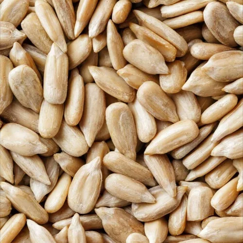 Sunflower Seed
